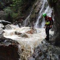 Ancora nessuna traccia del fungiatt disperso