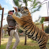 Lo zoo di "Tiger King" chiude e diventa un set cinematografico