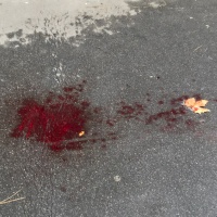 Un altro fermo per l'attacco a Parigi