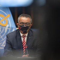 La malaria fa ancora oltre 400mila morti all'anno