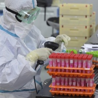 L'OMS: «In Cina al più presto per scoprire le origini del virus»