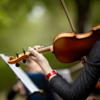 Più sostegno alla cultura