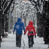 Allerta neve, chiusi tutti i parchi di Lugano