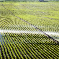 Limo della Silo Melezza: "Questa è ecomafia"