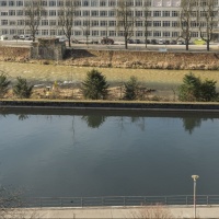 Macabra scoperta sulle rive della Limmat