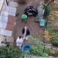 Il cadavere nel giardino dei vicini
