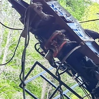 Freni disattivati, «scelta deliberata e assolutamente consapevole»