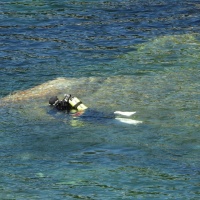 Annegamento a Ponte Brolla, la vittima è un 20enne