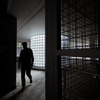 Il principe arrestato è forse un giardiniere