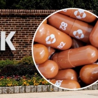 L'Ema mette sotto la lente la pillola anti-Covid di Merck