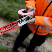 Testa mozzata ritrovata nel bosco, incriminata una 55enne