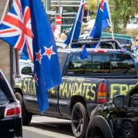 "Convogli della libertà" anche a Wellington