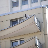 «Si sono gettati dal balcone uno dopo l'altro»