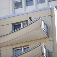 È arrivata la polizia e si sono buttati dal balcone