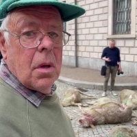 Lo sfogo dell'agricoltore: «Non ne possiamo più»