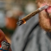 In quattrocento con la licenza di fumarsi uno spinello