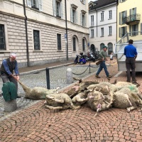 Carcasse davanti alla sede del Governo
