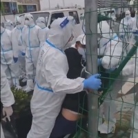 Il "ghetto" cinese contro il Covid scatena la protesta