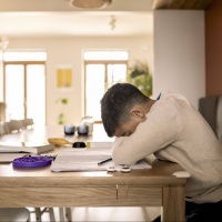 Dramma di Montreux, si pensa a una stretta sulla scuola a domicilio