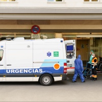 Rilevati 20 casi di vaiolo delle scimmie, «basse probabilità di diffusione»