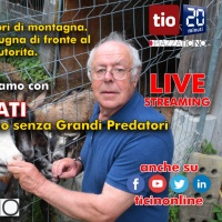 «Il lupo ci sta uccidendo»: il grido dei contadini su Piazza Ticino