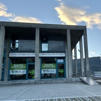 La palestra fantasma risorge dalle sue ceneri: «Dimostreremo nei fatti»