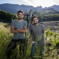 L'azienda agricola Bianchi è la cantina rivelazione dell'anno di Gault Millau