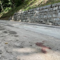 Auto con 4 giovani si ribalta. Una 14enne rischia la vita