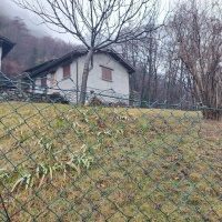 Lodrino sotto shock