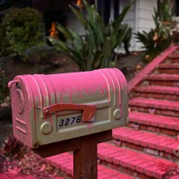 Los Angeles si è tinta di fucsia
