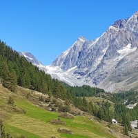 Frana nella Lötschental, un terzo degli abitanti di Blatten via da casa