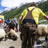 Tragedia di Blatten, svelata l'identità della persona scomparsa