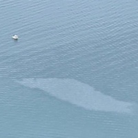 Aereo nel lago, nessuna vittima