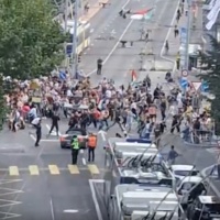 Auto sulla folla durante una manifestazione pro-Palestina
