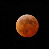 C'è l'eclissi, occhi al cielo per ammirare la luna rossa