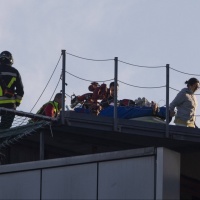 Quei metri quadrati di pelle introvabili giunti dai Paesi Bassi