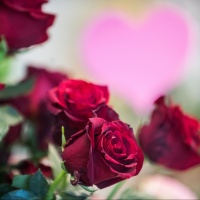 Se non è amore... è fatturato