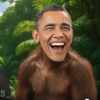 Gli Obama rappresentati come scimmie nel video postato da Trump