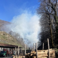 Fiamme nei boschi sopra Taverne