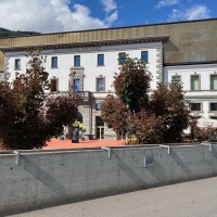 Malati e pericolosi: via i tre ippocastani di piazza Remo Rossi