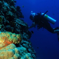Cinque italiani morti alle Maldive durante un'immersione