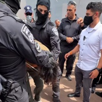 «Picchiati, presi a calci e torturati con il taser: ho visto persone con le costole rotte»