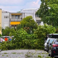 Alberi sulle strade e folate degne di un tifone: il maltempo spazza la Svizzera
