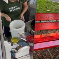 Dal "Born to be licked" al femminicidio di Faido: «È un'emergenza sociale»
