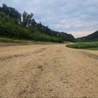 Cadavere trovato in un campo: mancano testa, mani e piedi