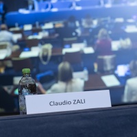 Caso Zali, la politica può destituire un "ministro"?