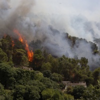 Alta tensione in Sicilia: gli incendi si moltiplicano su tutta l'isola