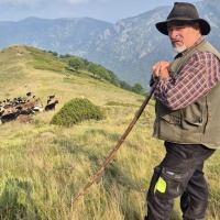 "Custodi tra le vette", per una sana coesistenza tra allevamento e turismo