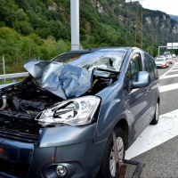 Due muli investiti sulla A2