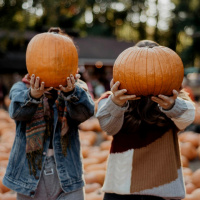 Fuori di zucca, ecco il primo villaggio delle zucche in Ticino